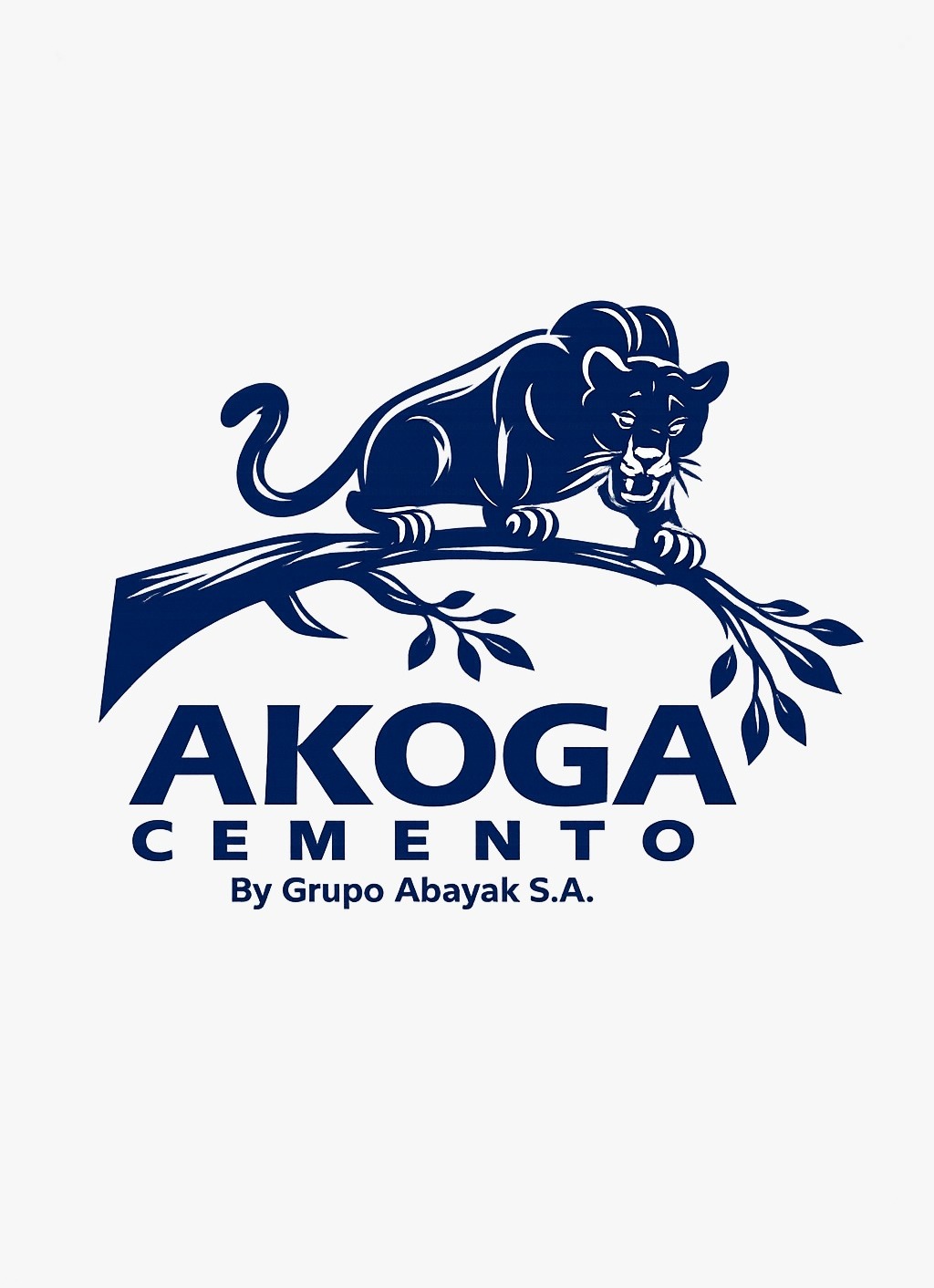 AKOGA CEMENTO